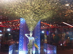 Orchard_Road_Shop_window